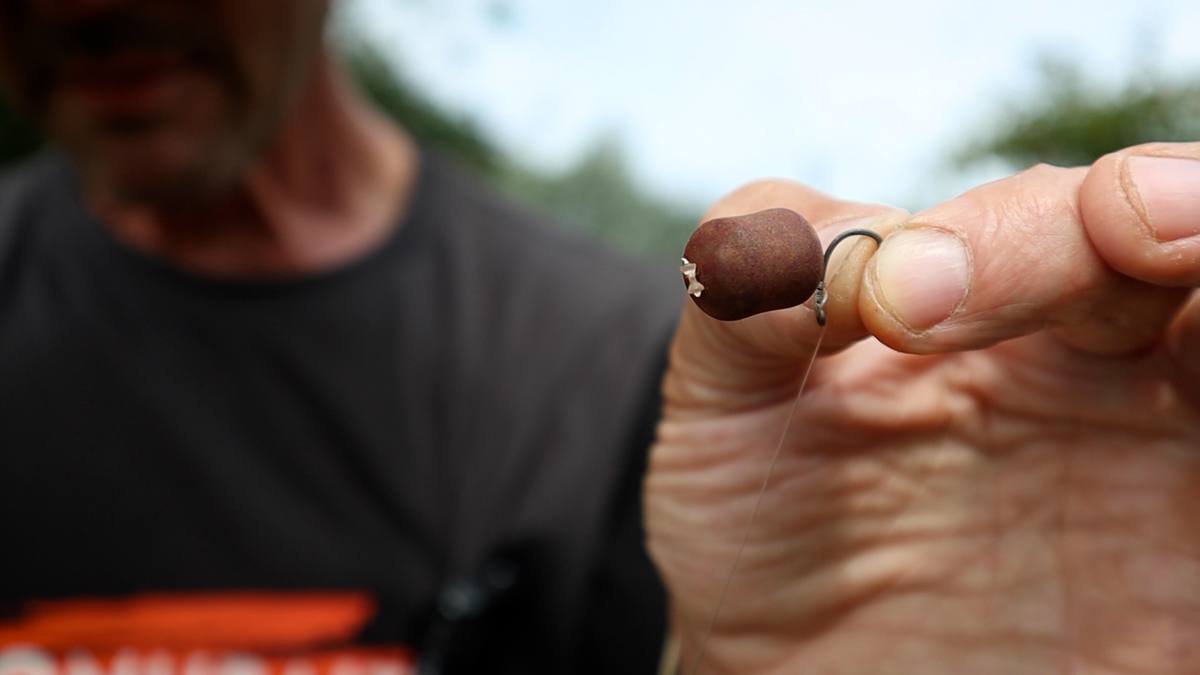 Surface Hookbaits for carp
