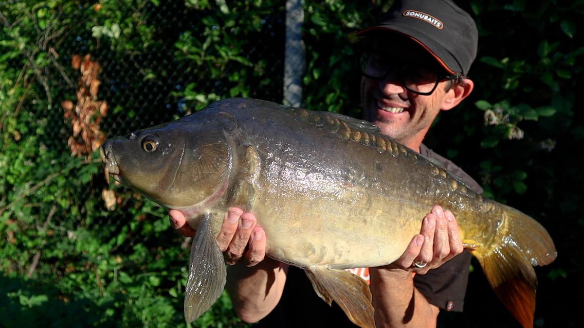 Mirror carp badshot