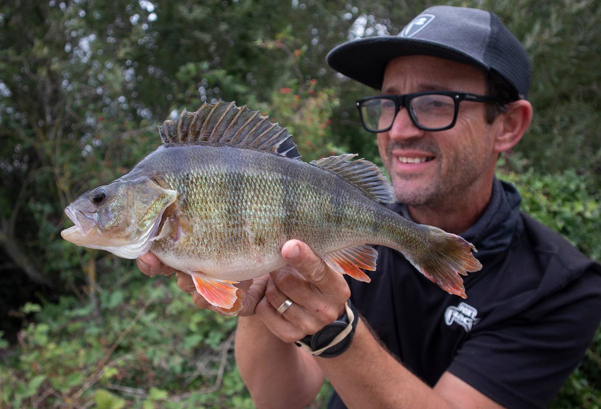 Perch Nick Marsh