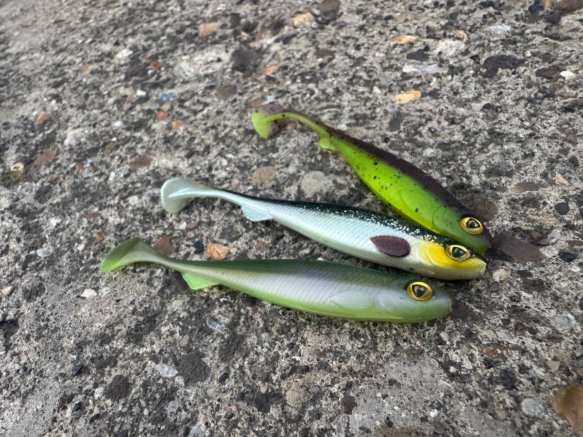 Fox Rage Slick Shads