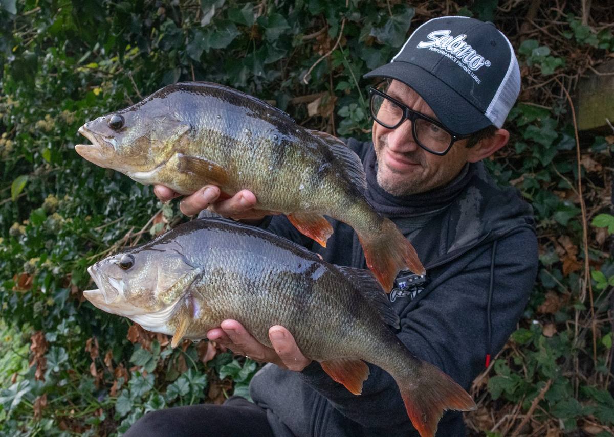 A brace of quality perch caught on Salmo crankbaits