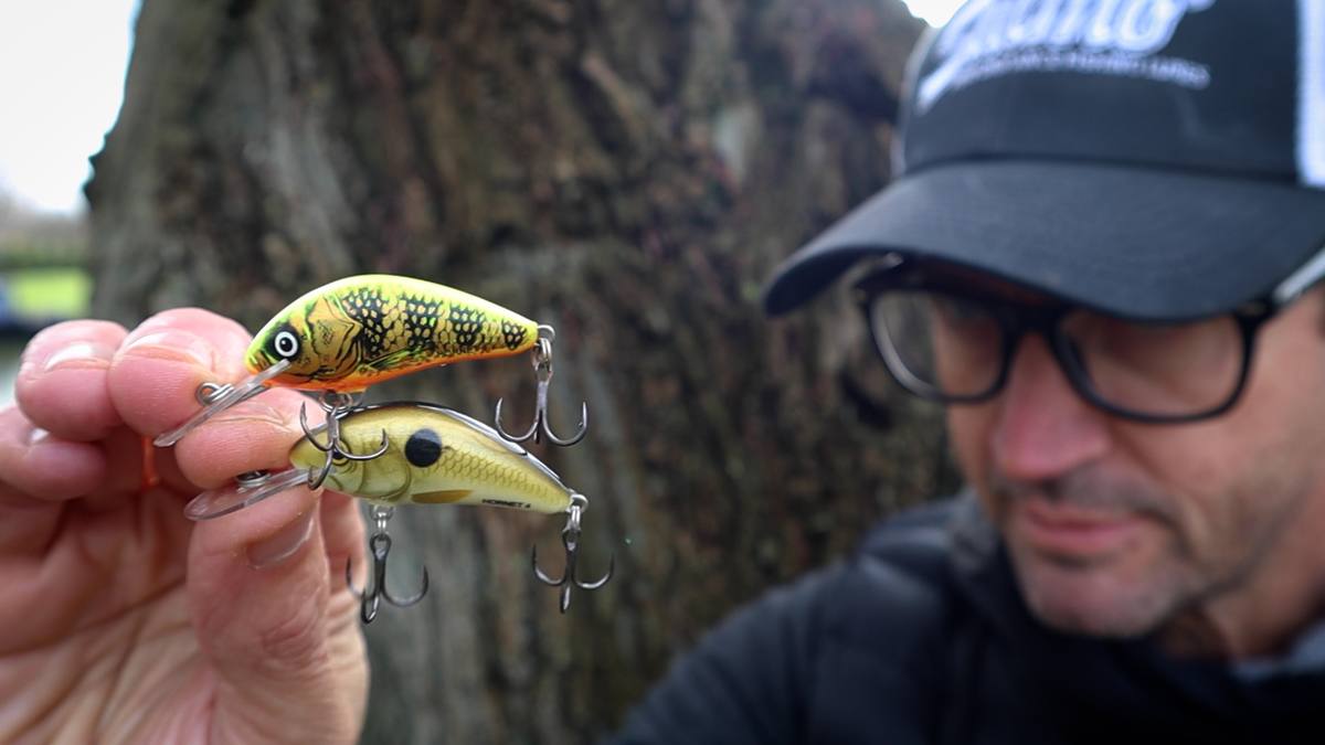 Selection of Salmo Rattling Hornet crankbaits in Hot Perch and Chartreuse colours