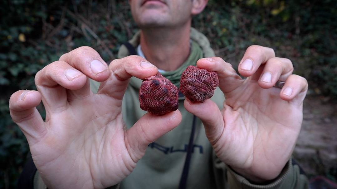 An angler holds two rounded, reddish bait parcels wrapped in mesh between his fingers, with leafy vegetation behind him.