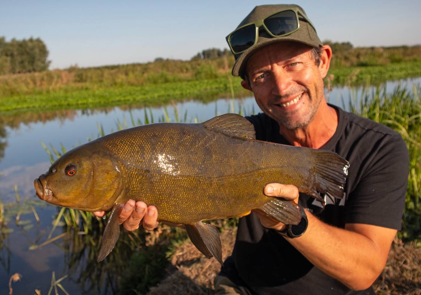 River Tench on Flatbed Feeders