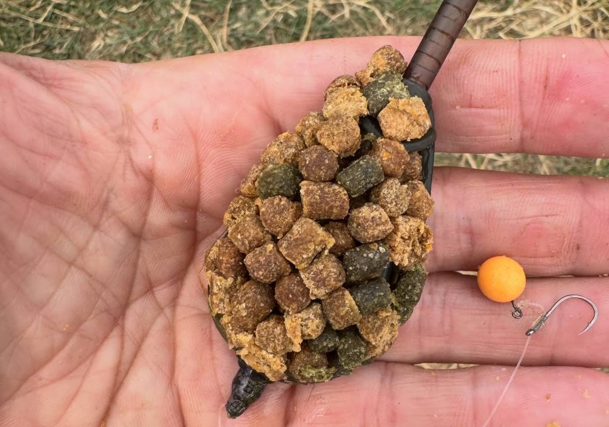 River Tench on Flatbed Feeders: a pellet-loaded feeder and orange hookbait held in a hand
