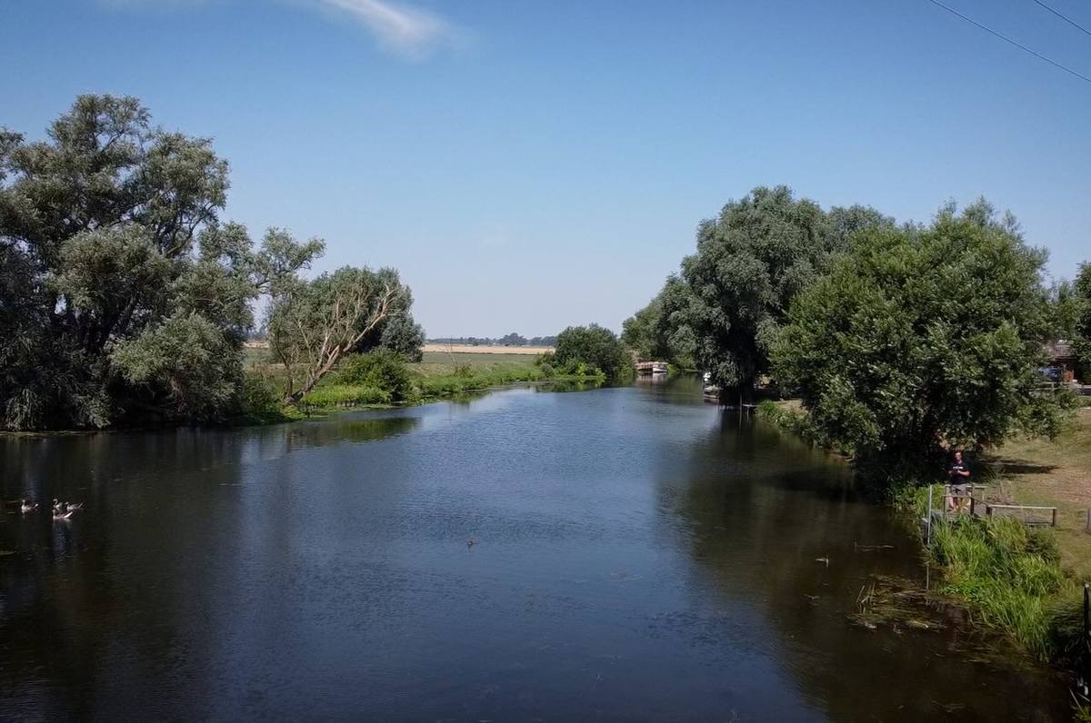 Tree-lined river under a blue sky with an angler on a small bankside platform