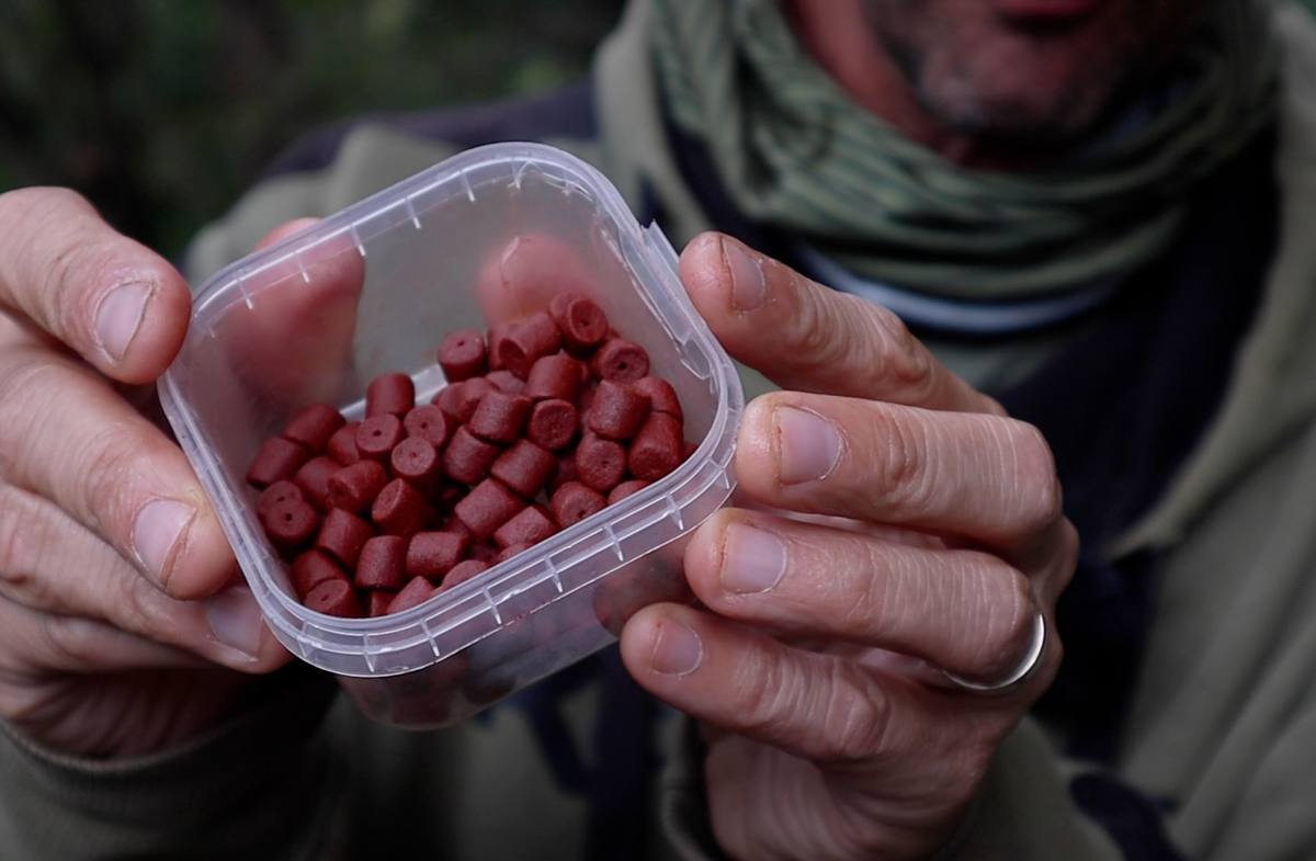 An angler holds a clear plastic tub containing red cylindrical bait pellets, several with holes through the centre.