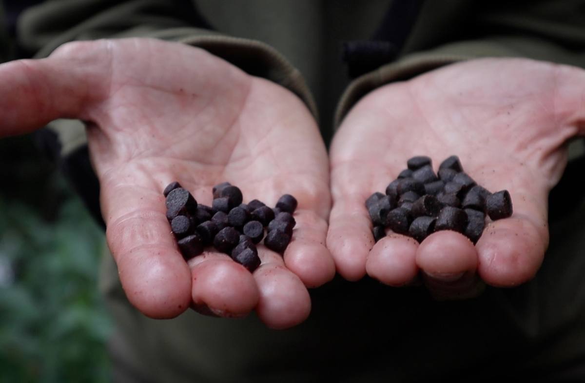 Sonubaits Spicy Sausage Pellets