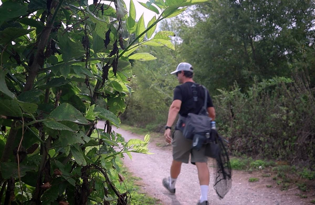 Angler walking a towpath with a shoulder bag and landing net