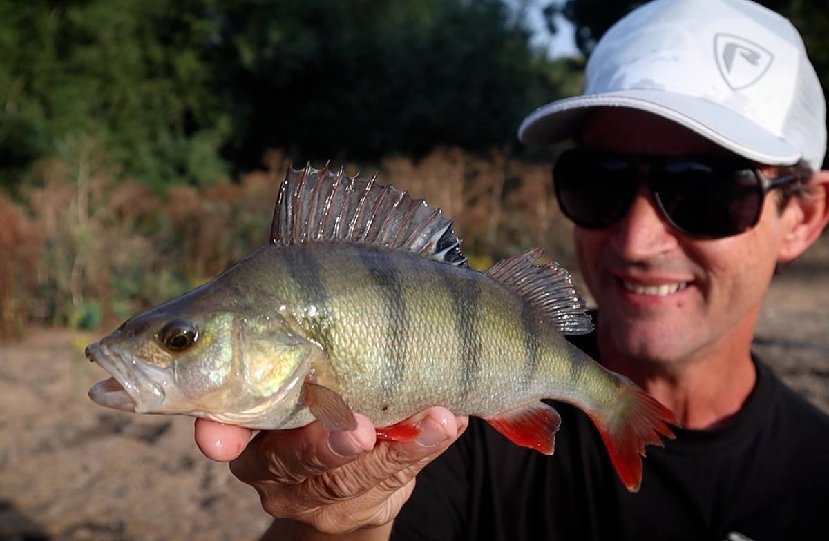 Smiling angler in a white cap holding a perch with its dorsal fin raised, from the Beginners Guide to Perch Fishing With Lures