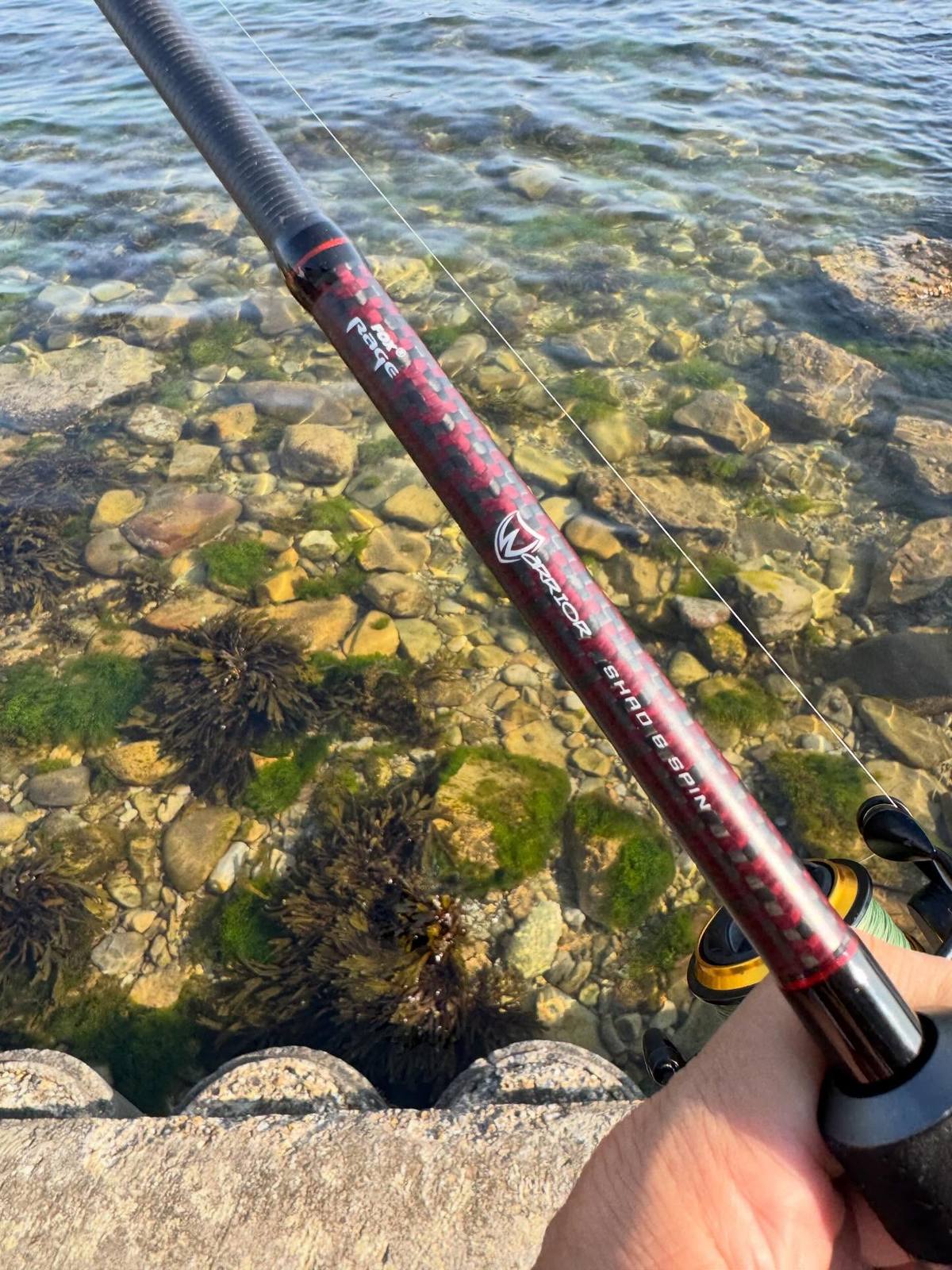 Fox Rage Warrior Shad and Spin rod held above clear water and submerged rocks