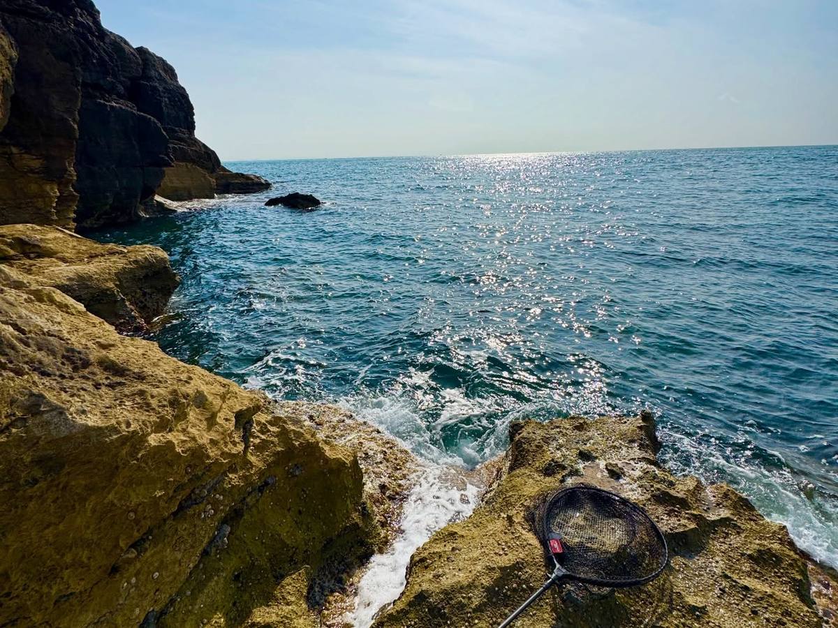Sunlit sea beside rocky cliffs with a landing net resting on a rock ledge