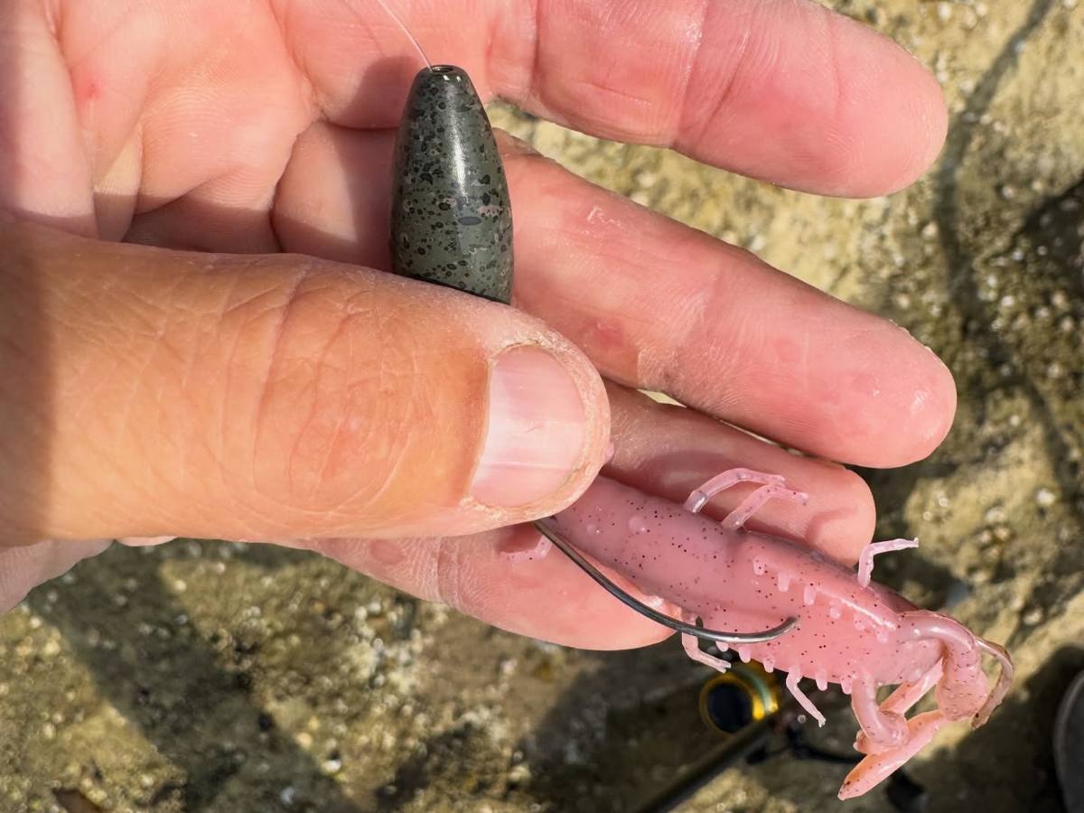 Pink soft-plastic creature bait on an offset hook with a bullet-shaped weight held in a hand