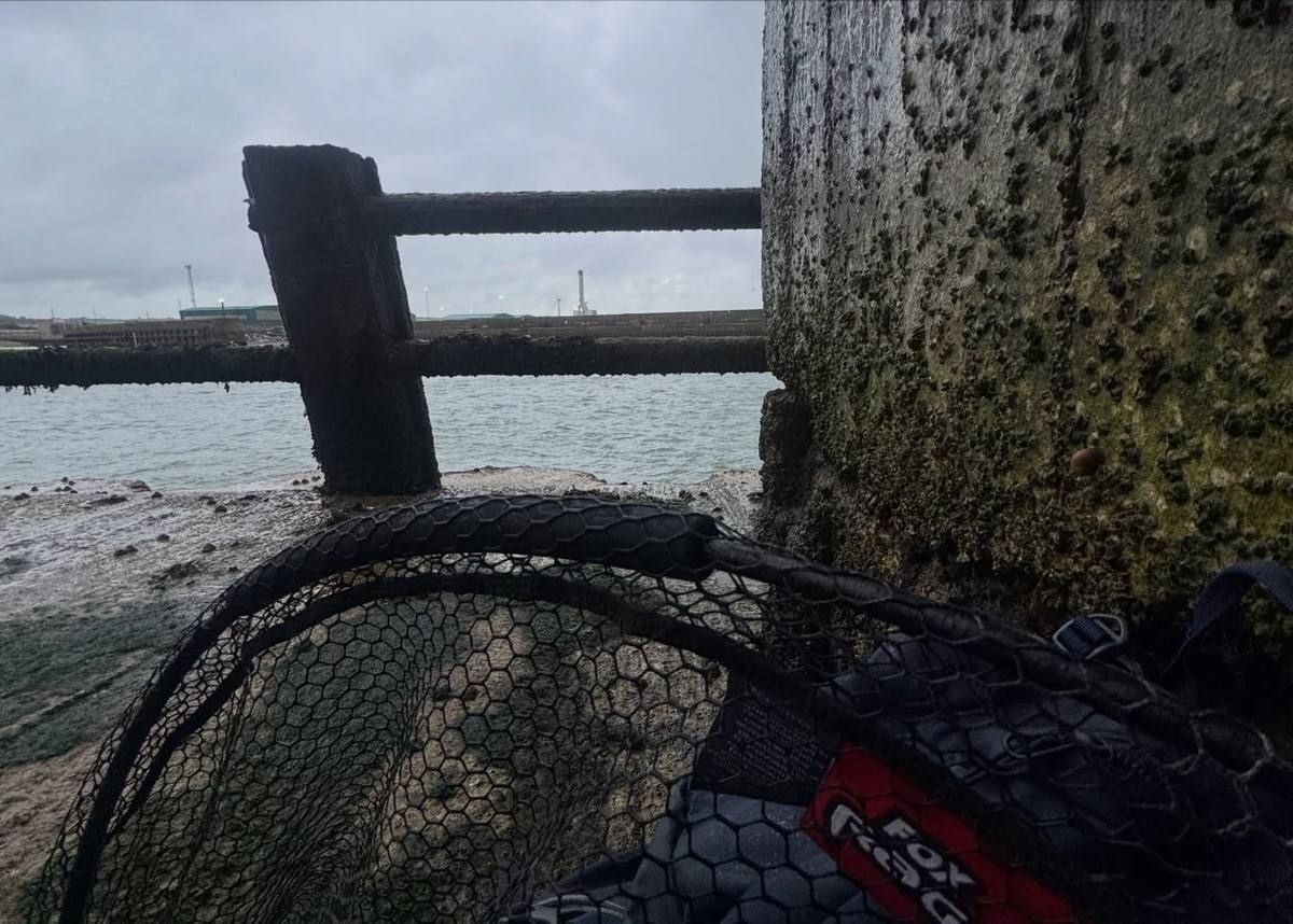 A landing net and fishing bag rest on a wet harbour ledge beside a shell-covered wall, with weathered railings and grey water beyond.