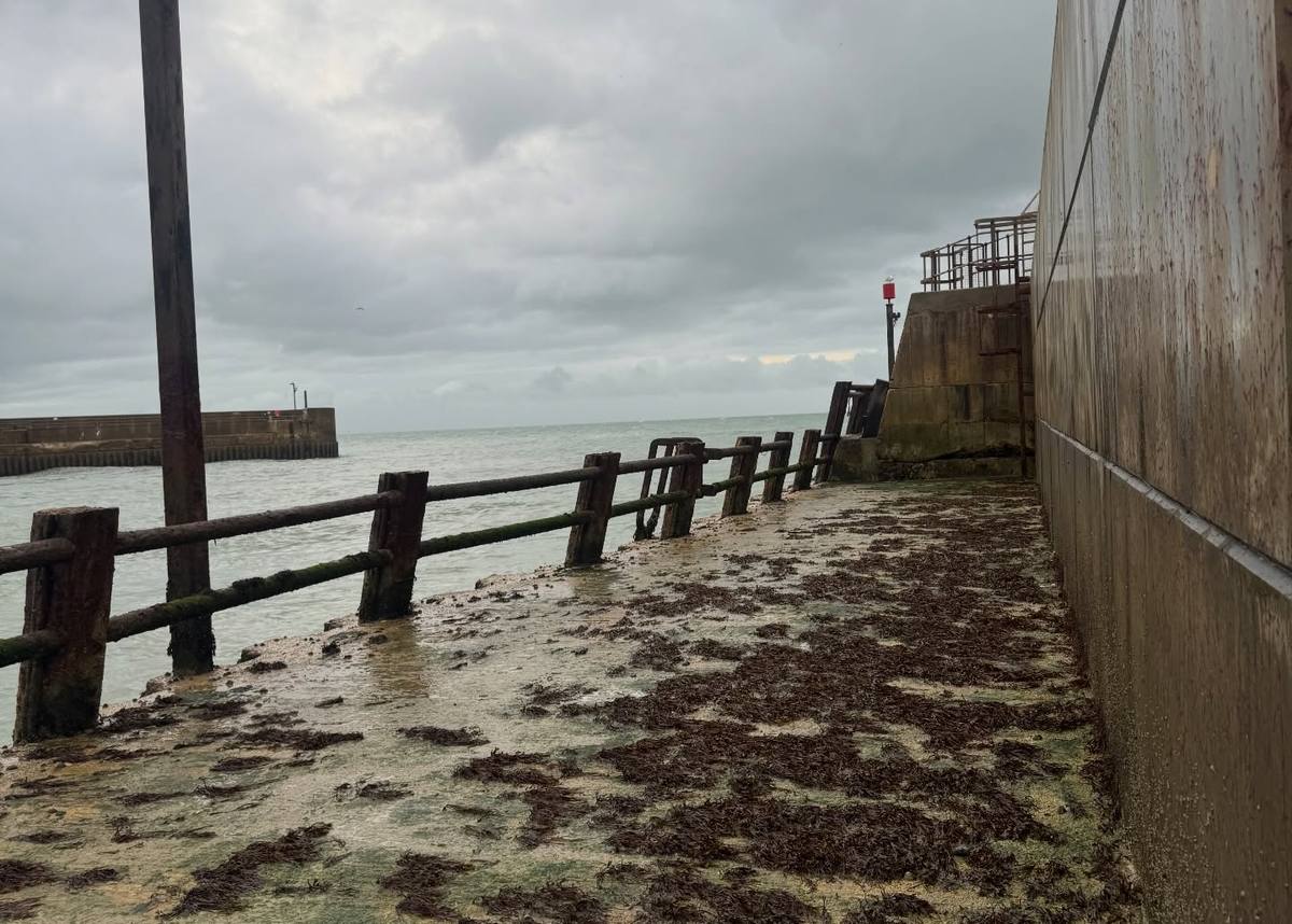 A wet, seaweed-strewn harbour walkway runs between weathered railings and a tall concrete wall, with the sea and a breakwater beneath grey clouds.