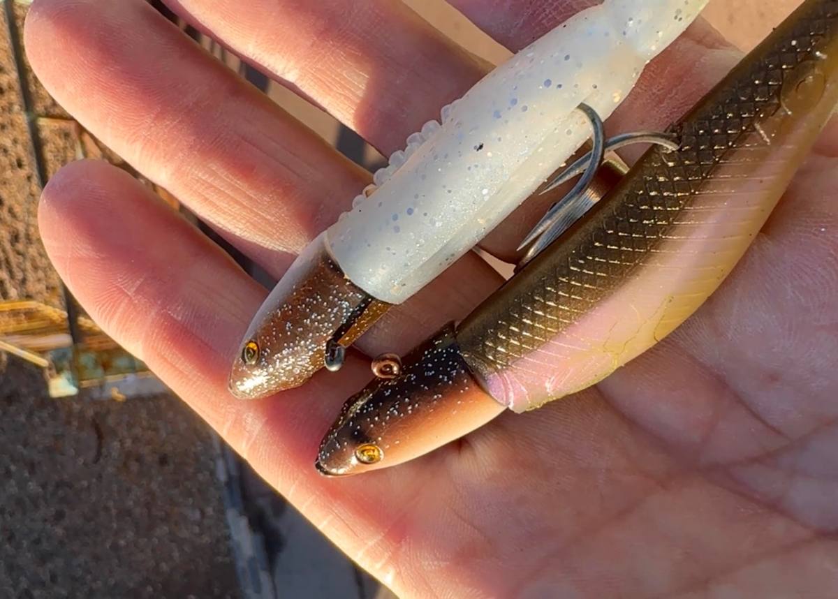A close-up of an open hand holding two rigged soft-plastic fishing lures, one glittery white and the other brown with a pale pink belly.