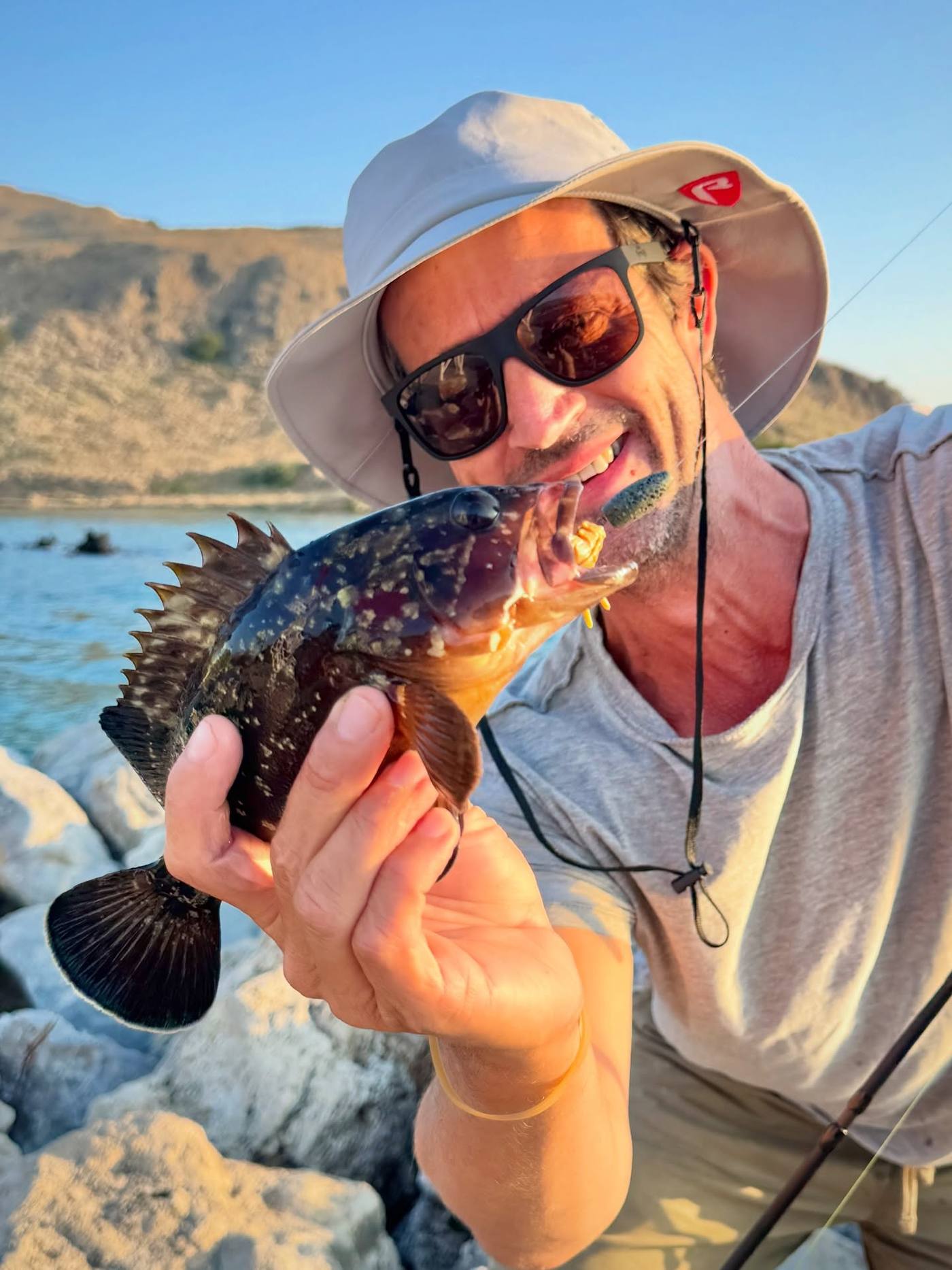 The Dusky Grouper
