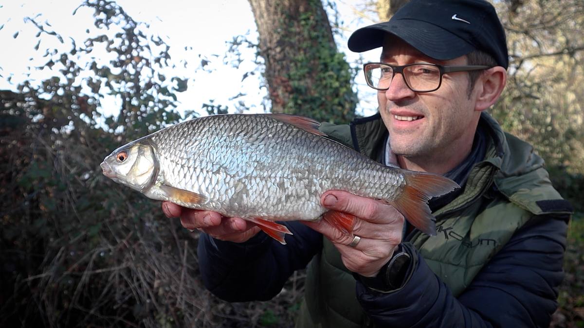 Winter roach caught trotting maggots on a river