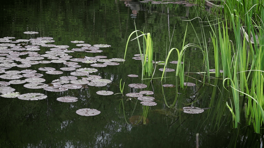image7 1 1024x576