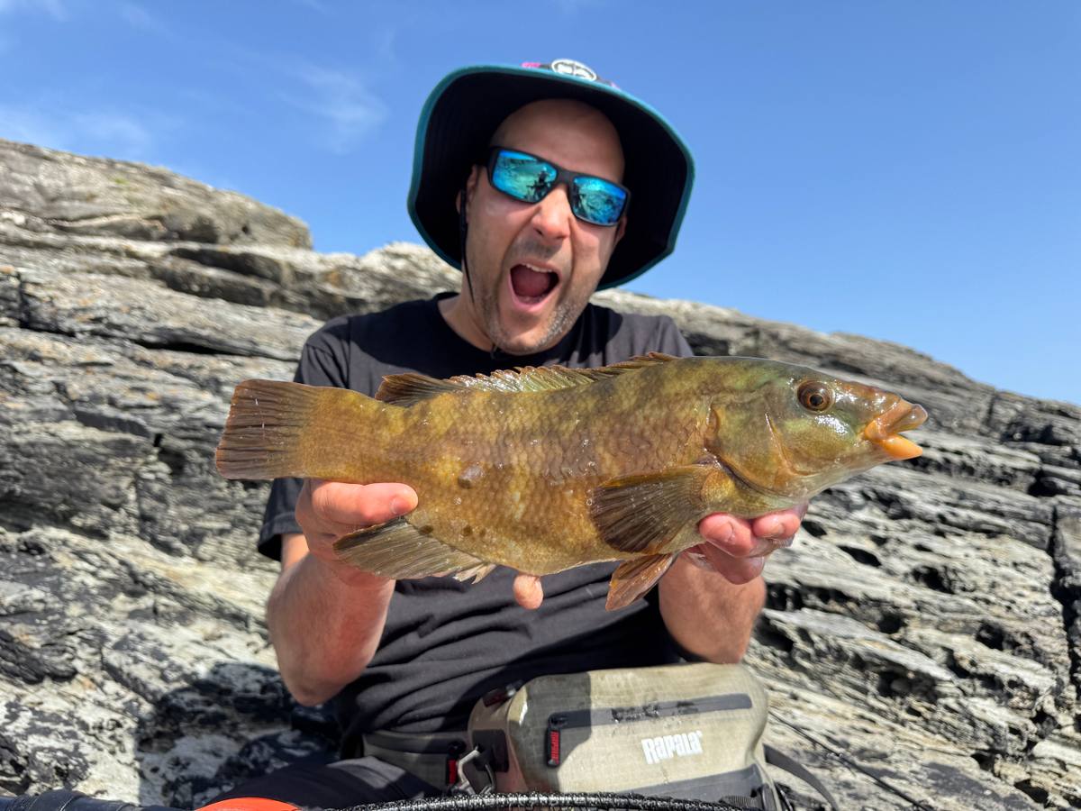Wrasse fishing Cornwall