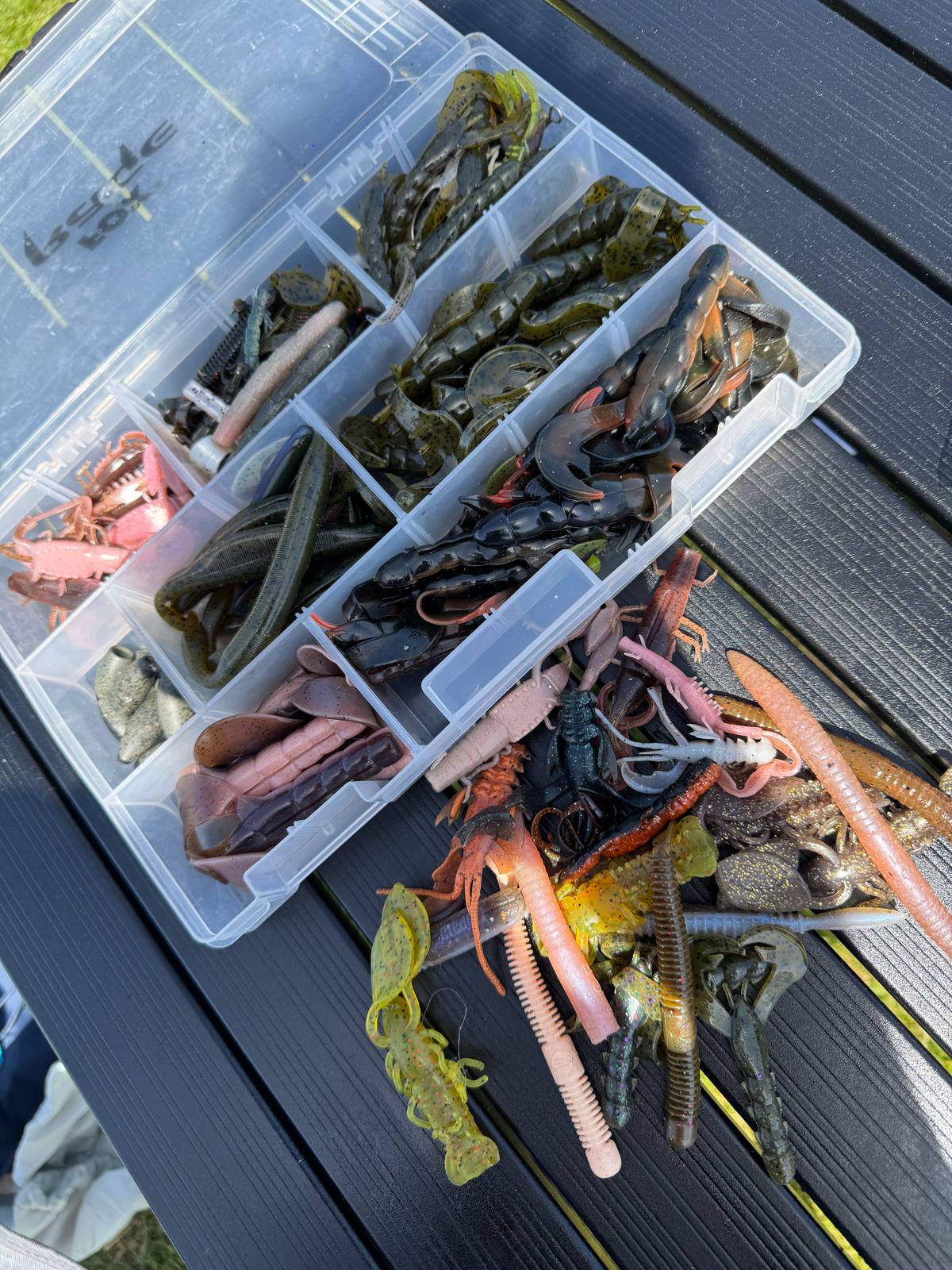 Wrasse fishing lures