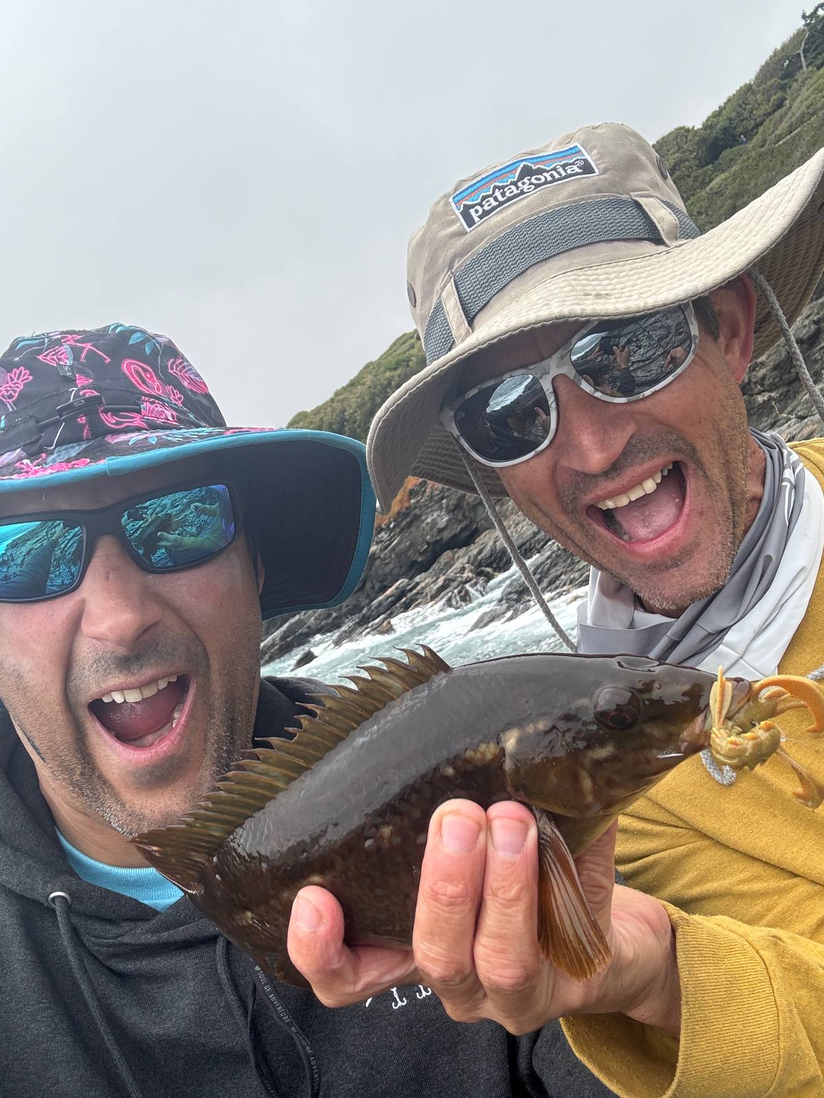 Wrasse on creature baits