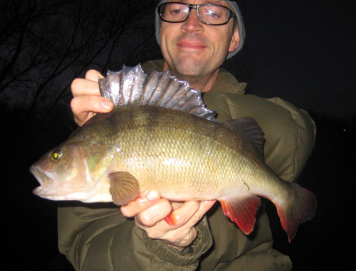 Lure Fishing Dark Perch