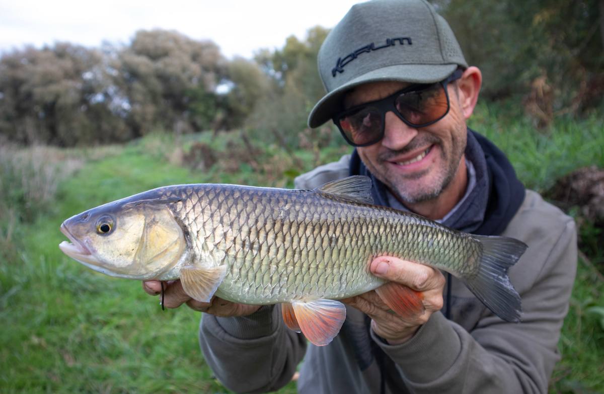 Chub fishing tactics