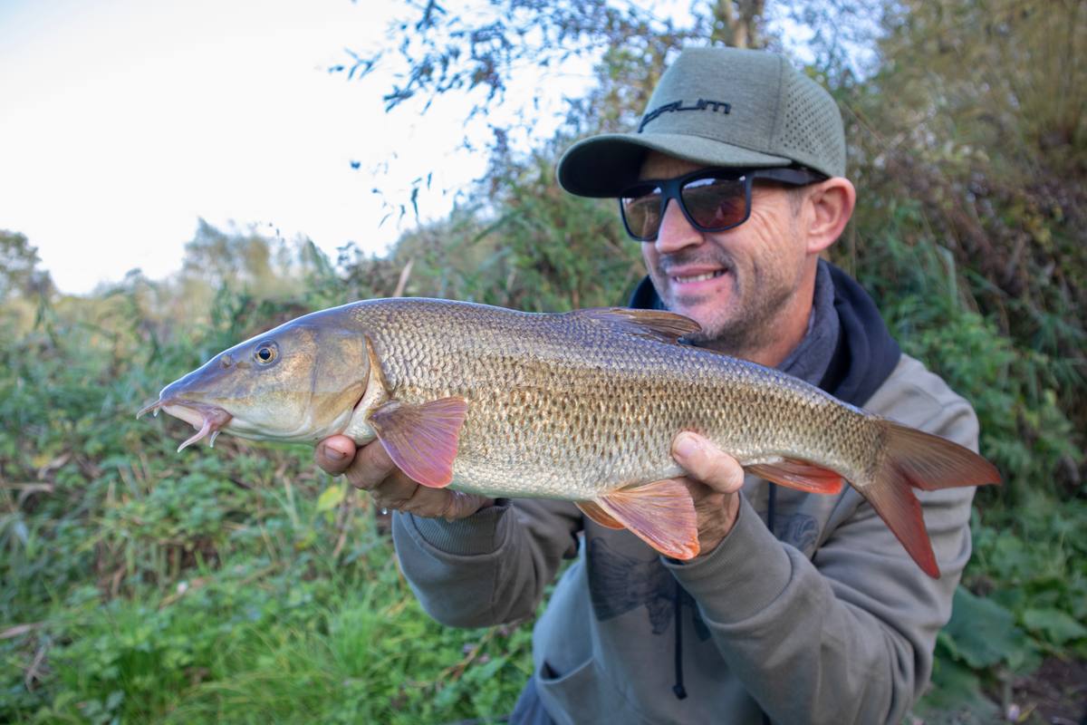 Barbel fishing bait